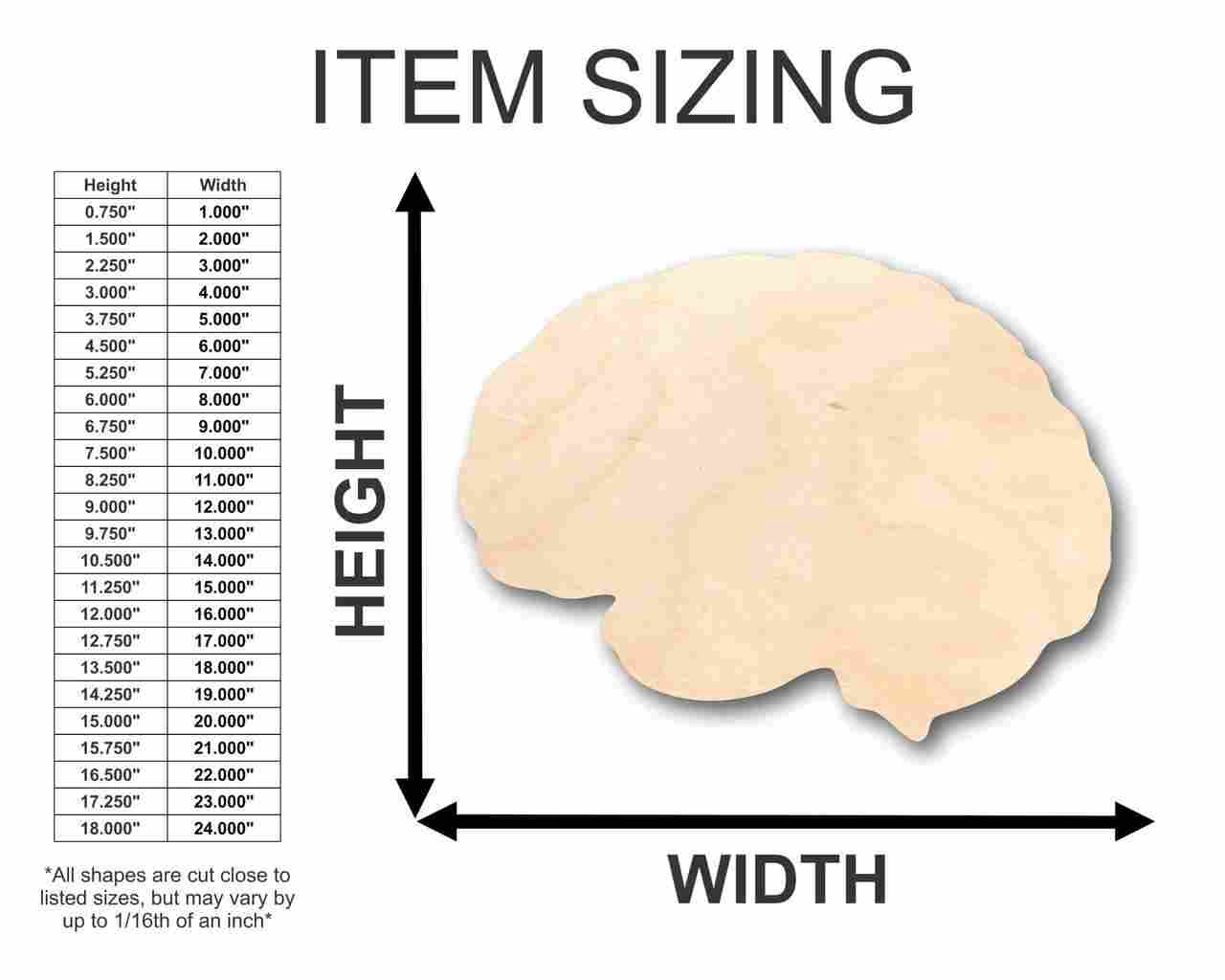 Unfinished Wood Brain Shape - Science - Craft - up to 46" DIY - NameSigns.com