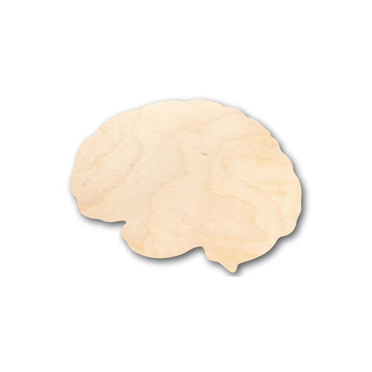 Unfinished Wood Brain Shape - Science - Craft - up to 46" DIY - NameSigns.com