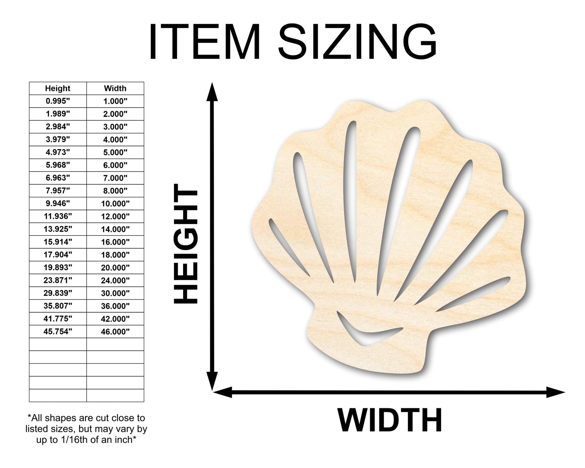 Unfinished Wood Sea Shell Shape | Ocean Beach Craft Cutout | up to 46" DIY - NameSigns.com