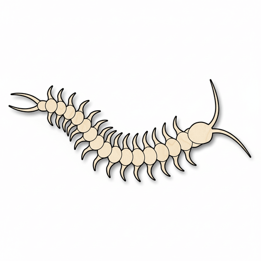 Wood Centipede – DIY Wooden Insect Craft Project Supplies 46" Blank Door Hanger Wooden Cutout Cut Outs - Unfinished - NameSigns.com