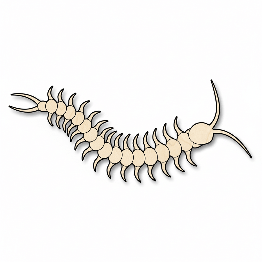 Wood Centipede – DIY Wooden Insect Craft Project Supplies 46" Blank Door Hanger Wooden Cutout Cut Outs - Unfinished - NameSigns.com