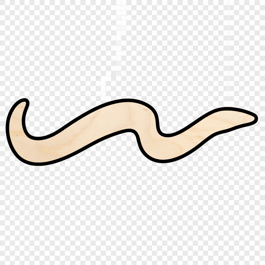 Wood Eel – Baltic Birch Plywood Ocean Craft Shapes 46" Blanks Blank Door Hanger Wooden Cutout Cut Outs - Unfinished - NameSigns.com